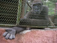 /album/lesvisionnaire/photo-1254695812044-1-0-jpg1/