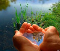 /album/lesvisionnaire/a1525661-10201983054632790-1186543163-n-jpg/